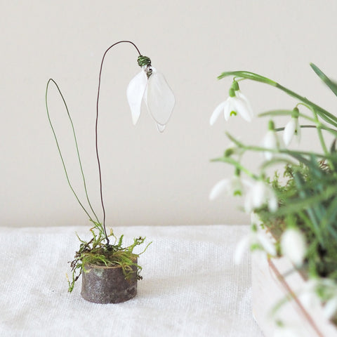 wire snowdrop